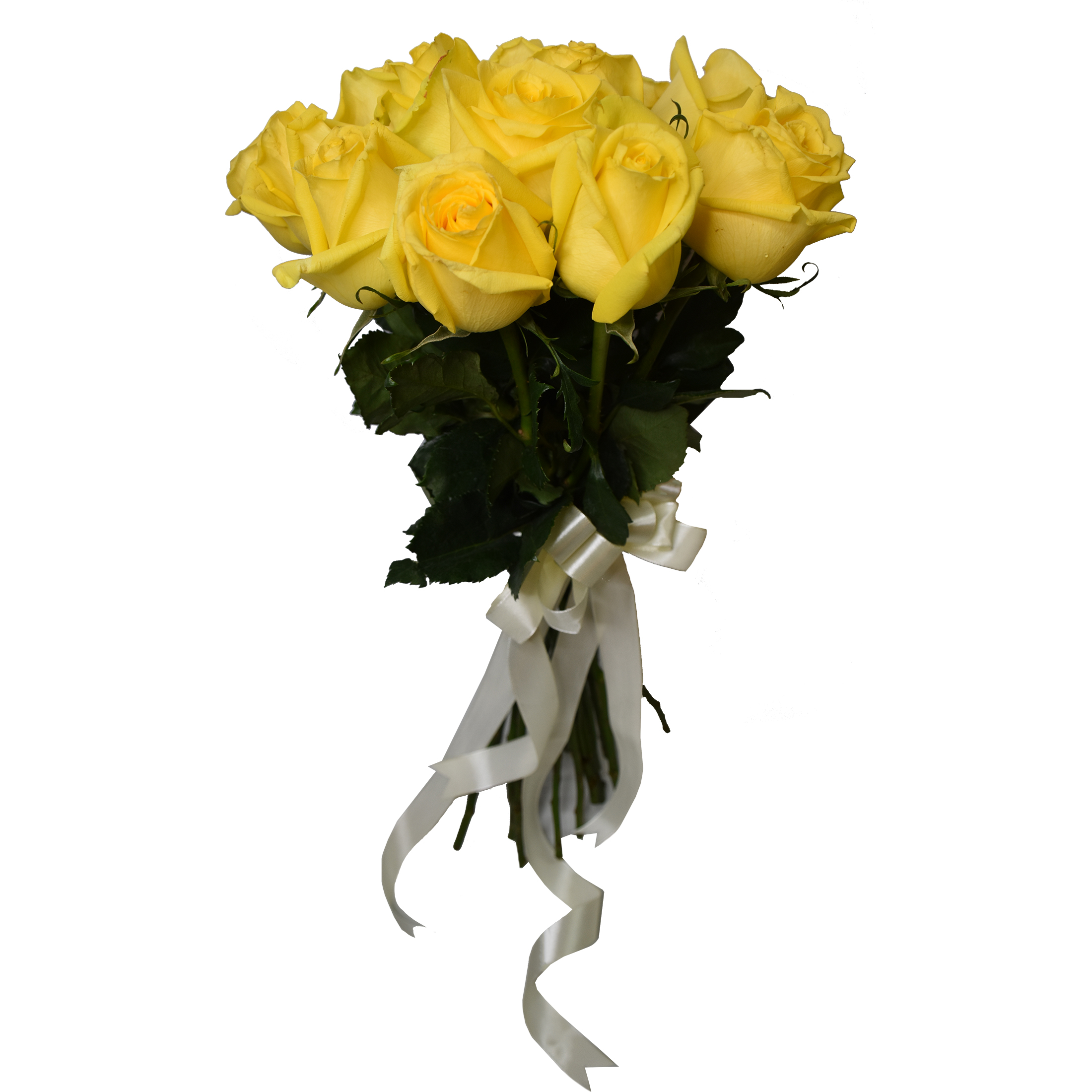 شاخه گل رز هلندی زرد دسته 15 عددی شاخه گل طلایی